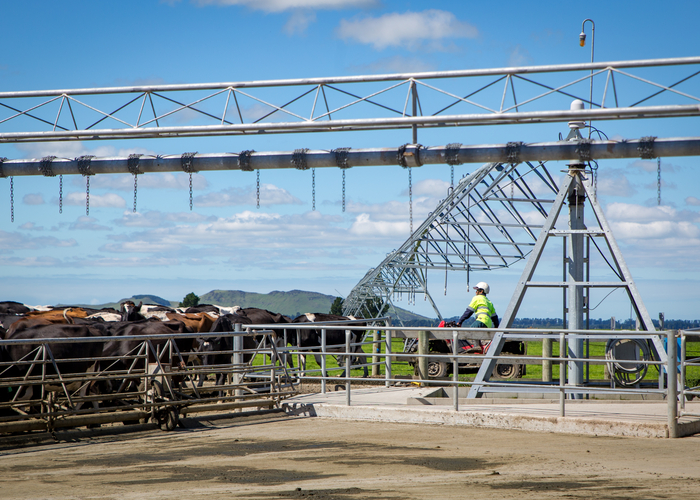 Nairn Dairy Shed Stray Voltage Testing